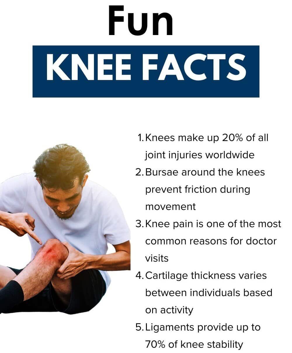 Fun Knee Facts You Probably Didn’t Know